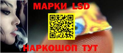 a pvp Новозыбков