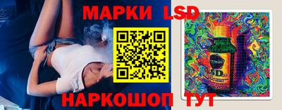 a pvp Новозыбков