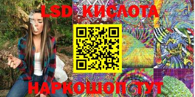 a pvp Новозыбков
