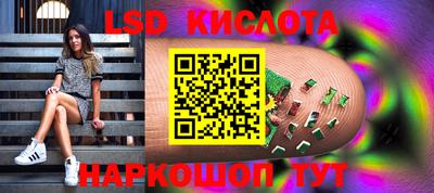 a pvp Новозыбков