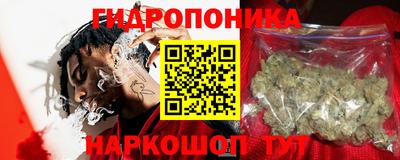 a pvp Новозыбков