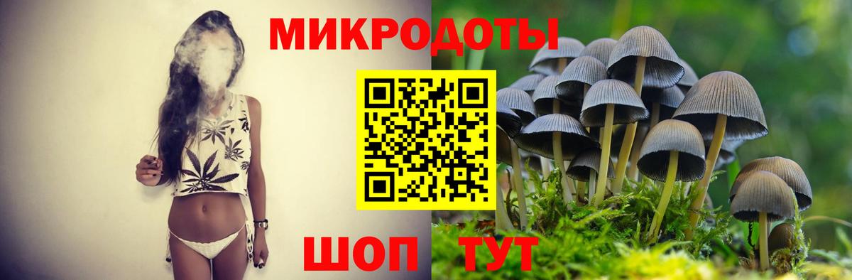 Псилоцибиновые грибы Cubensis Старая Купавна